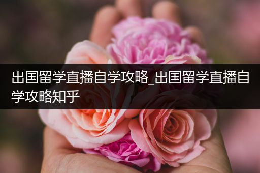 出国留学直播自学攻略_出国留学直播自学攻略知乎