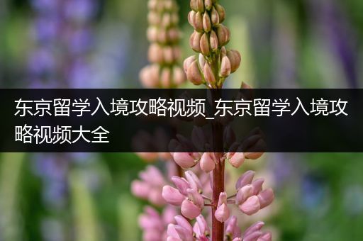 东京留学入境攻略视频_东京留学入境攻略视频大全