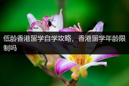 低龄香港留学自学攻略，香港留学年龄限制吗