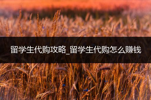 留学生代购攻略_留学生代购怎么赚钱