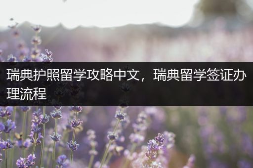 瑞典护照留学攻略中文，瑞典留学签证办理流程