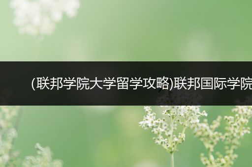 （联邦学院大学留学攻略)联邦国际学院