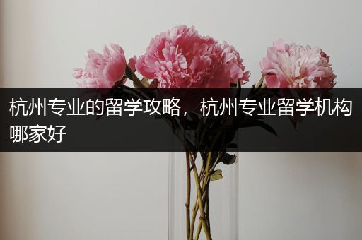 杭州专业的留学攻略，杭州专业留学机构哪家好