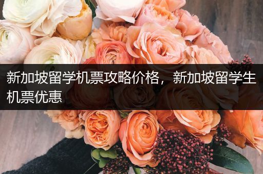 新加坡留学机票攻略价格，新加坡留学生机票优惠