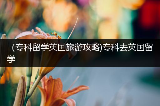 （专科留学英国旅游攻略)专科去英国留学