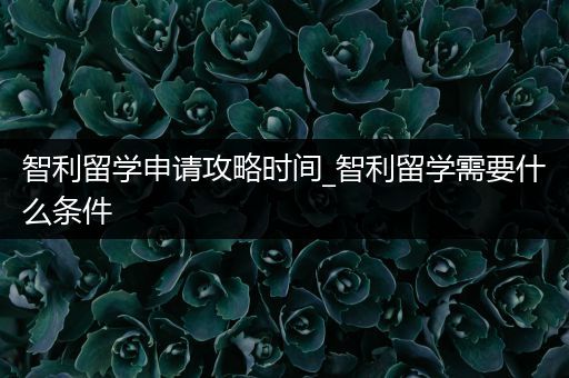 智利留学申请攻略时间_智利留学需要什么条件