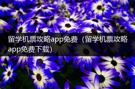 留学机票攻略app免费（留学机票攻略app免费下载）