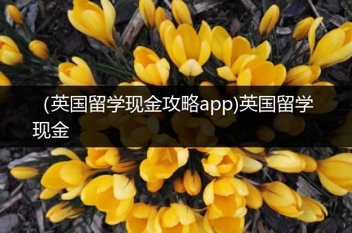 （英国留学现金攻略app)英国留学 现金