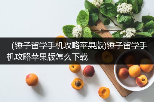（锤子留学手机攻略苹果版)锤子留学手机攻略苹果版怎么下载