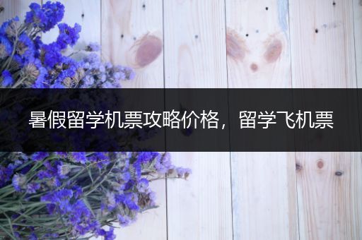 暑假留学机票攻略价格，留学飞机票