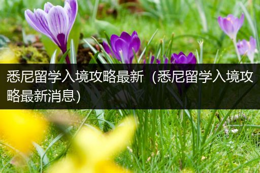 悉尼留学入境攻略最新（悉尼留学入境攻略最新消息）