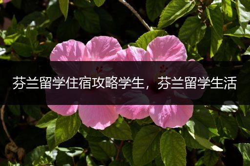芬兰留学住宿攻略学生，芬兰留学生活