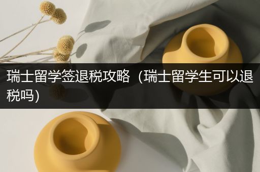 瑞士留学签退税攻略（瑞士留学生可以退税吗）