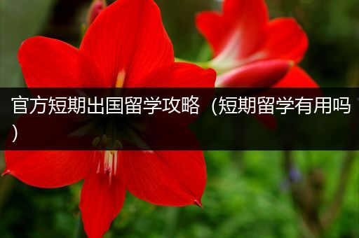 官方短期出国留学攻略（短期留学有用吗）