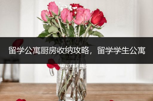 留学公寓厨房收纳攻略，留学学生公寓