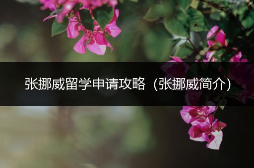 张挪威留学申请攻略（张挪威简介）