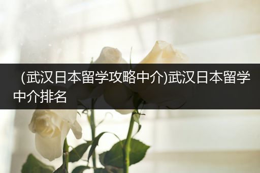 （武汉日本留学攻略中介)武汉日本留学中介排名