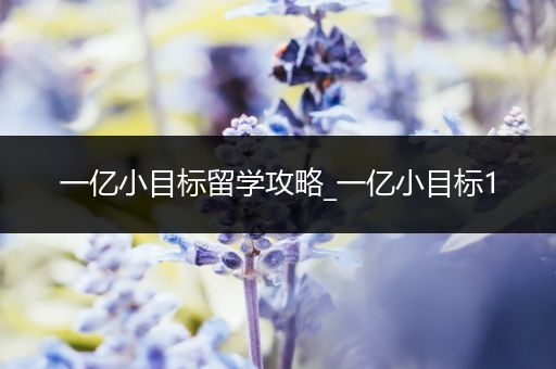 一亿小目标留学攻略_一亿小目标1