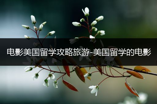 电影美国留学攻略旅游-美国留学的电影