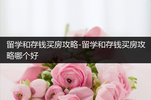 留学和存钱买房攻略-留学和存钱买房攻略哪个好