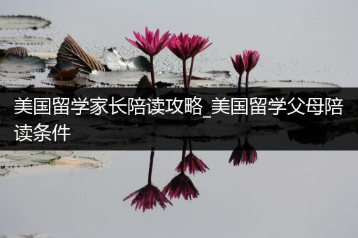 美国留学家长陪读攻略_美国留学父母陪读条件