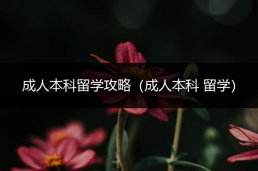 成人本科留学攻略（成人本科 留学）