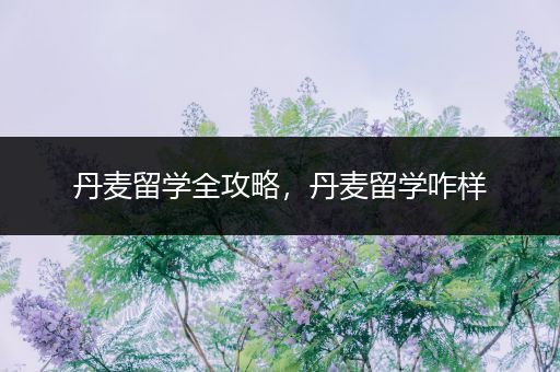 丹麦留学全攻略，丹麦留学咋样