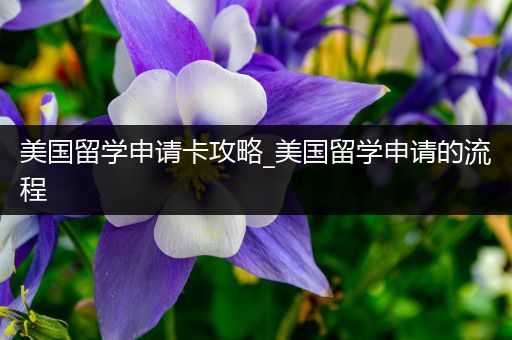 美国留学申请卡攻略_美国留学申请的流程