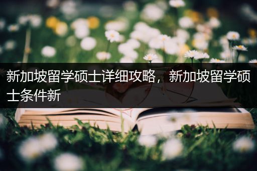 新加坡留学硕士详细攻略，新加坡留学硕士条件新