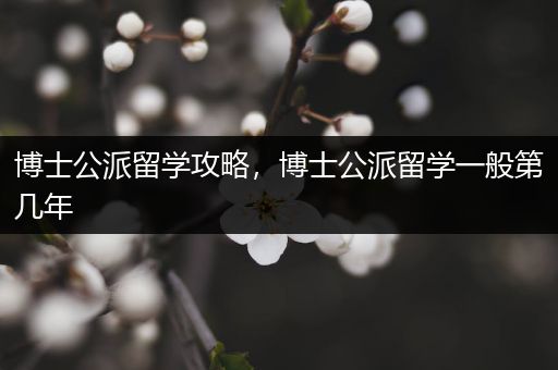 博士公派留学攻略，博士公派留学一般第几年