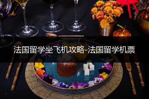 法国留学坐飞机攻略-法国留学机票