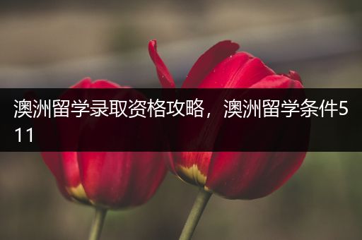 澳洲留学录取资格攻略，澳洲留学条件511