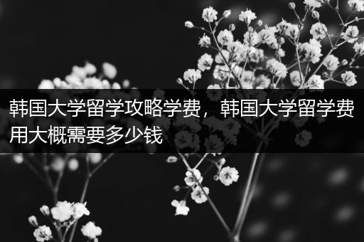 韩国大学留学攻略学费，韩国大学留学费用大概需要多少钱