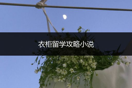 衣柜留学攻略小说