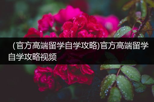 （官方高端留学自学攻略)官方高端留学自学攻略视频