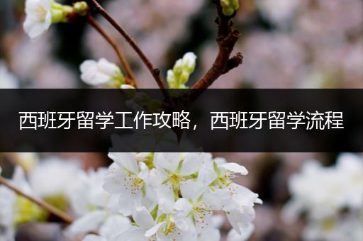 西班牙留学工作攻略，西班牙留学流程