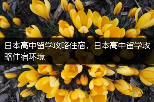 日本高中留学攻略住宿，日本高中留学攻略住宿环境