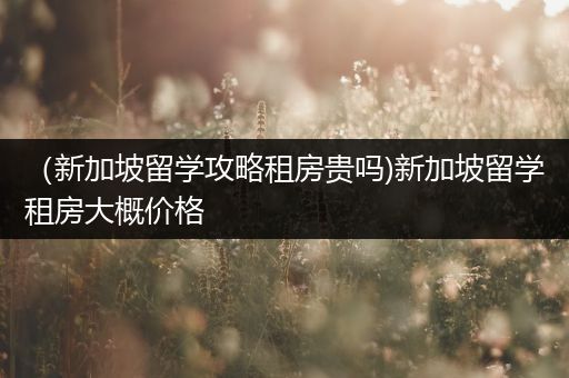 （新加坡留学攻略租房贵吗)新加坡留学租房大概价格