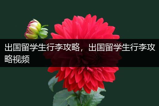 出国留学生行李攻略，出国留学生行李攻略视频