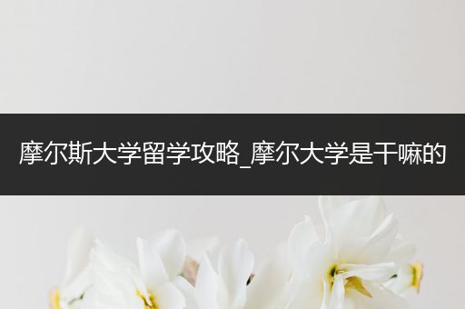 摩尔斯大学留学攻略_摩尔大学是干嘛的