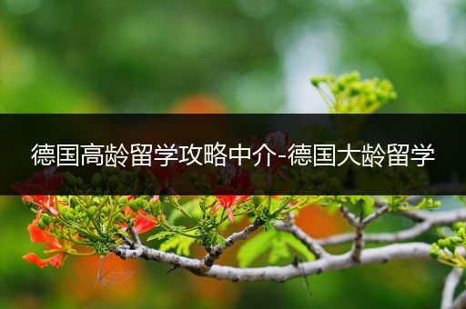 德国高龄留学攻略中介-德国大龄留学