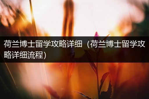 荷兰博士留学攻略详细（荷兰博士留学攻略详细流程）