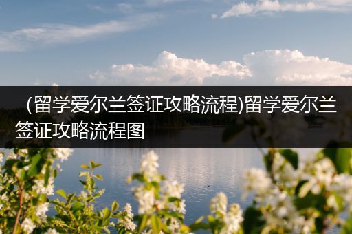 （留学爱尔兰签证攻略流程)留学爱尔兰签证攻略流程图