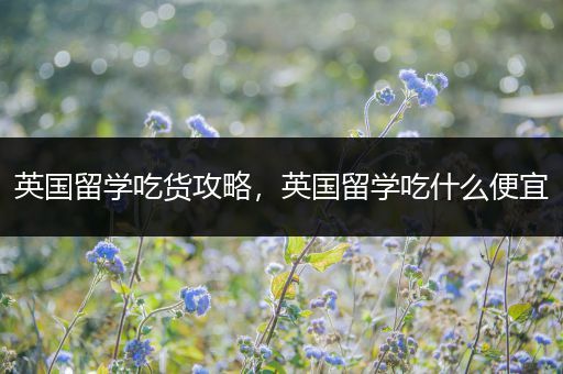 英国留学吃货攻略，英国留学吃什么便宜