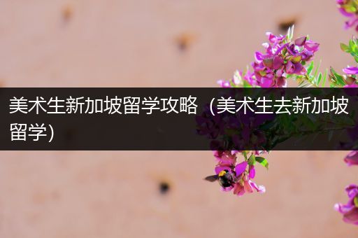 美术生新加坡留学攻略（美术生去新加坡留学）