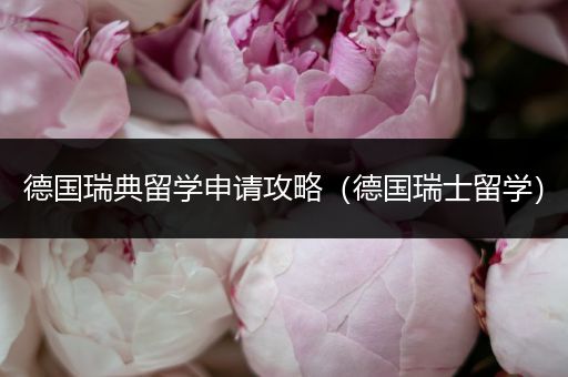 德国瑞典留学申请攻略（德国瑞士留学）