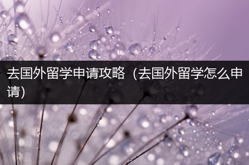 去国外留学申请攻略（去国外留学怎么申请）