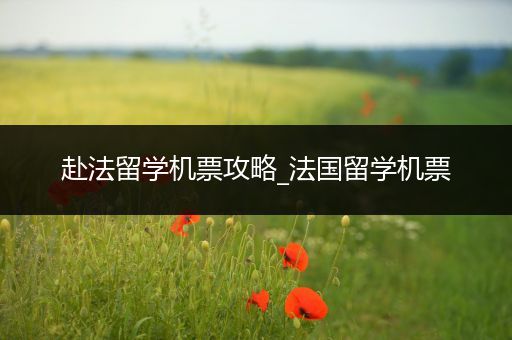 赴法留学机票攻略_法国留学机票