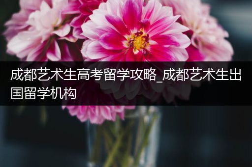 成都艺术生高考留学攻略_成都艺术生出国留学机构