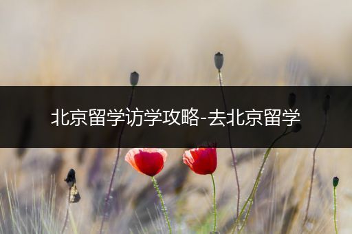 北京留学访学攻略-去北京留学